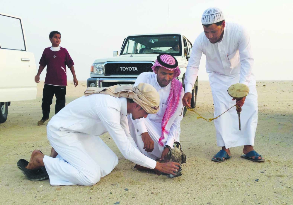 حسن الثعلبي وأصدقاؤه يخلّصون حمامة من صقر. (تصوير: فهد العداين)