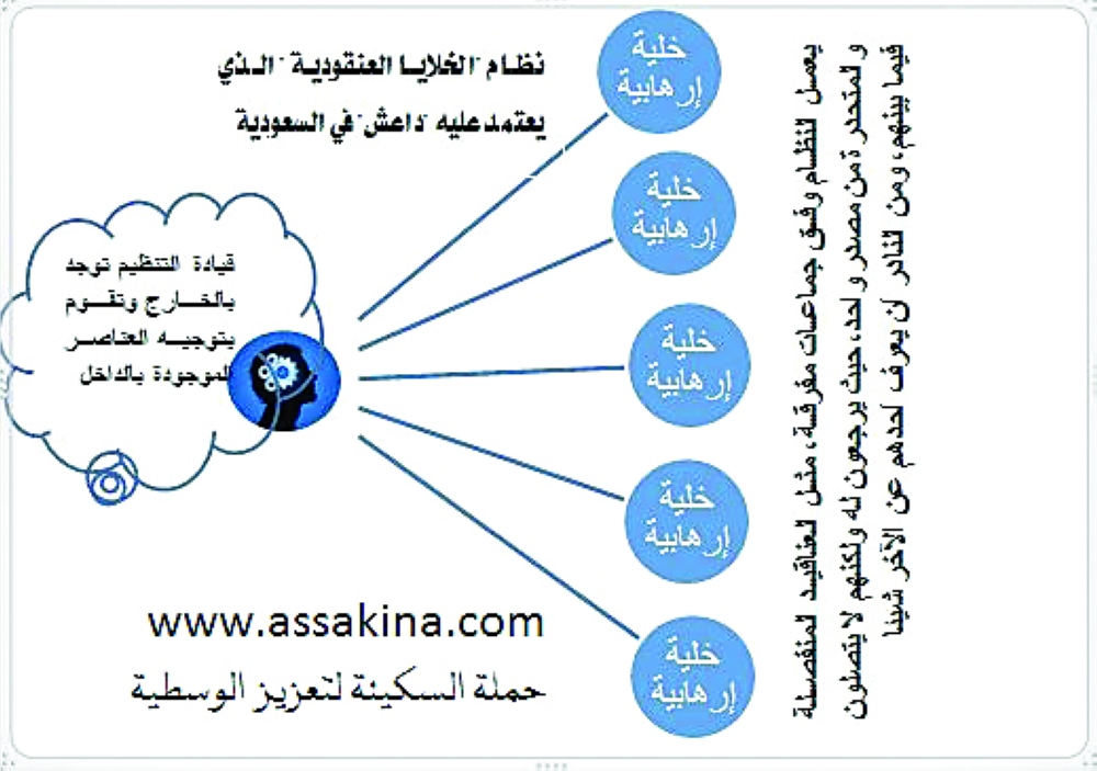 آلية تحرك الخلايا العنقودية. 