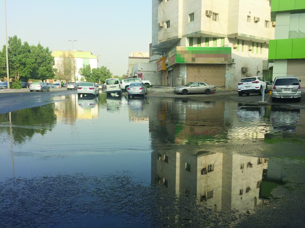 



بحيرات المجاري تدفقت إلى أبواب المراكز الصحية في «المحجر».