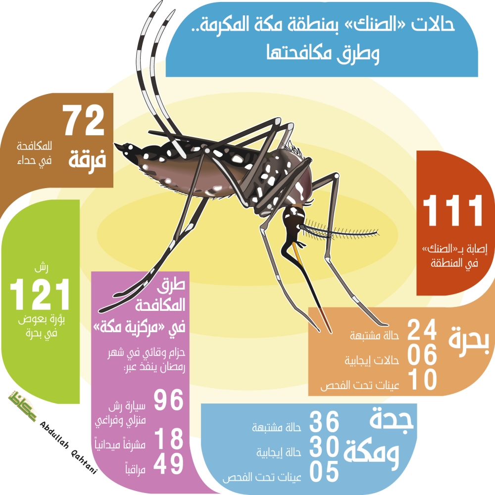 حالات «الضنك» بمنطقة مكة المكرمة.. وطرق مكافحتها