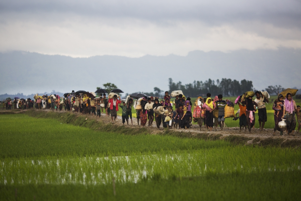 In this Friday, Sept. 1, 2017, file photo, members of Myanmar's Rohingya ethnic minority walk through rice fields after crossing the border into Bangladesh near Cox's Bazar's Teknaf area. Myanmar's military says hundreds have died in recent violence in the western state of Rakhine triggered by attacks on security forces by insurgents from the Rohingya. Advocates for the Rohingya, an oppressed Muslim minority in overwhelmingly Buddhist Myanmar, say hundreds of Rohingya civilians have been killed by security forces. Thousands have fled into neighboring Bangladesh. (AP Photo/Bernat Armangue, File)