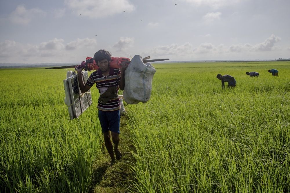 A Rohingya Muslim Nur Karim carries his belongings past rice fields after crossing over from Myanmar into Bangladesh, at Teknaf, Bangladesh, Friday, Sept. 22, 2017. Karim walked through forests for five days before a boat helped him cross the dangerous waters of the rain-flooded Naf river to Bangladesh to be reunited with his mother, who had crossed over two weeks ago with his sister's family. But his relief was tinged by a deep pain. In the chaos of their escape, as Myanmar soldiers fired at them, he got separated from his wife and child. (AP Photo/Dar Yasin)