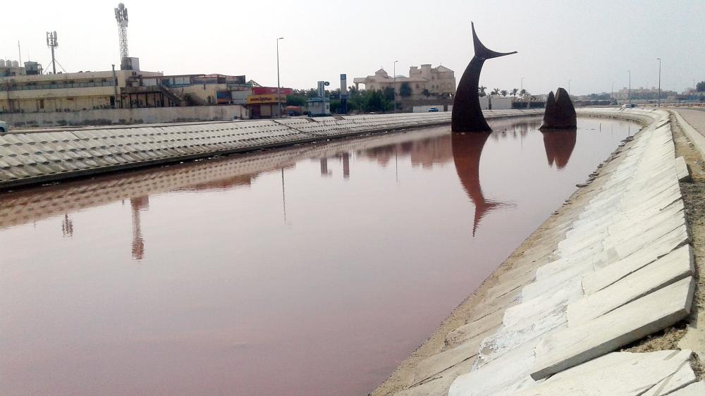 



 بحيرة السمكة كما بدت أمس (الإثنين) مغطاة باللون الأحمر. (تصوير: موسى الأحمري)