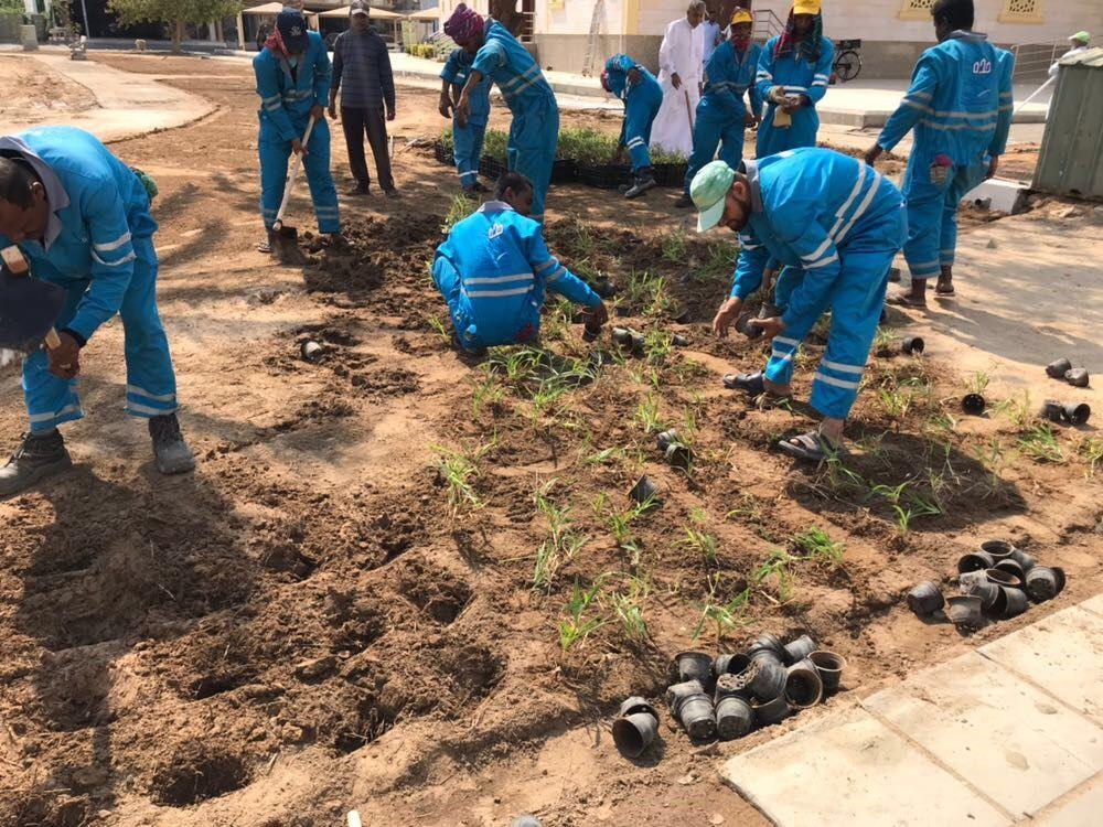 جانب من عملية استثمار مياه الوضوء في ري الحدائق بجدة