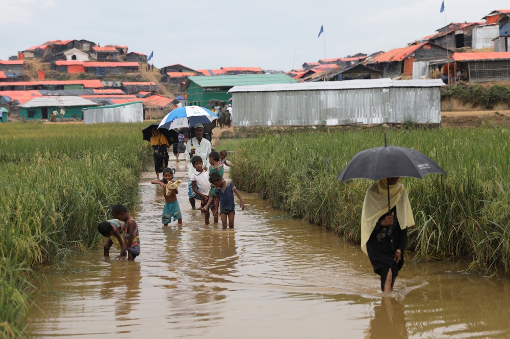 Rohingya refugees walk along the paddy field as they come out of the Palong Khali refugee camp in Cox's Bazar, Bangladesh, November 17, 2017. REUTERS/Mohammad Ponir Hossain