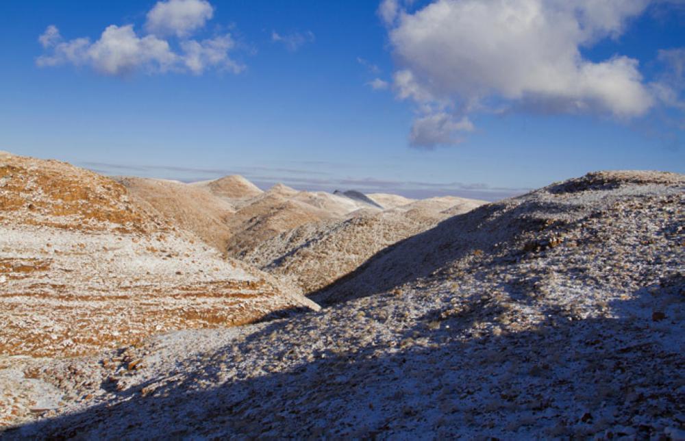 صورة أرشيفية