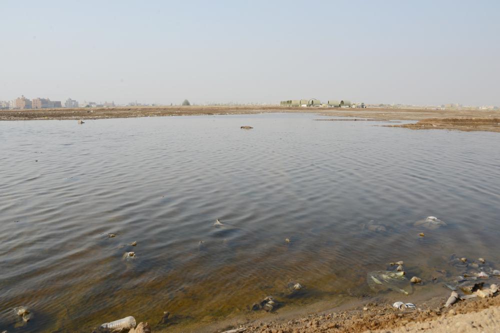 



مستنقعات حي الحمدانية في جدة. (تصوير: عبدالسلام السلمي)