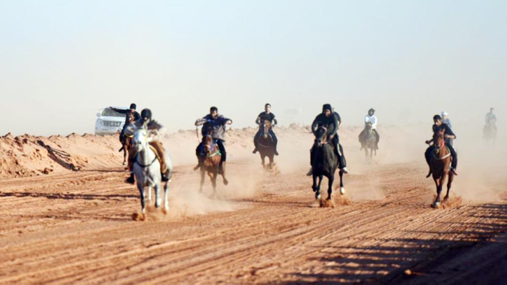 



شباب مشاركون في سباقات الخيل. (عكاظ)