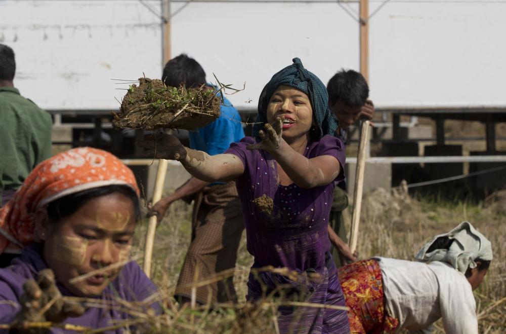 Rohingya