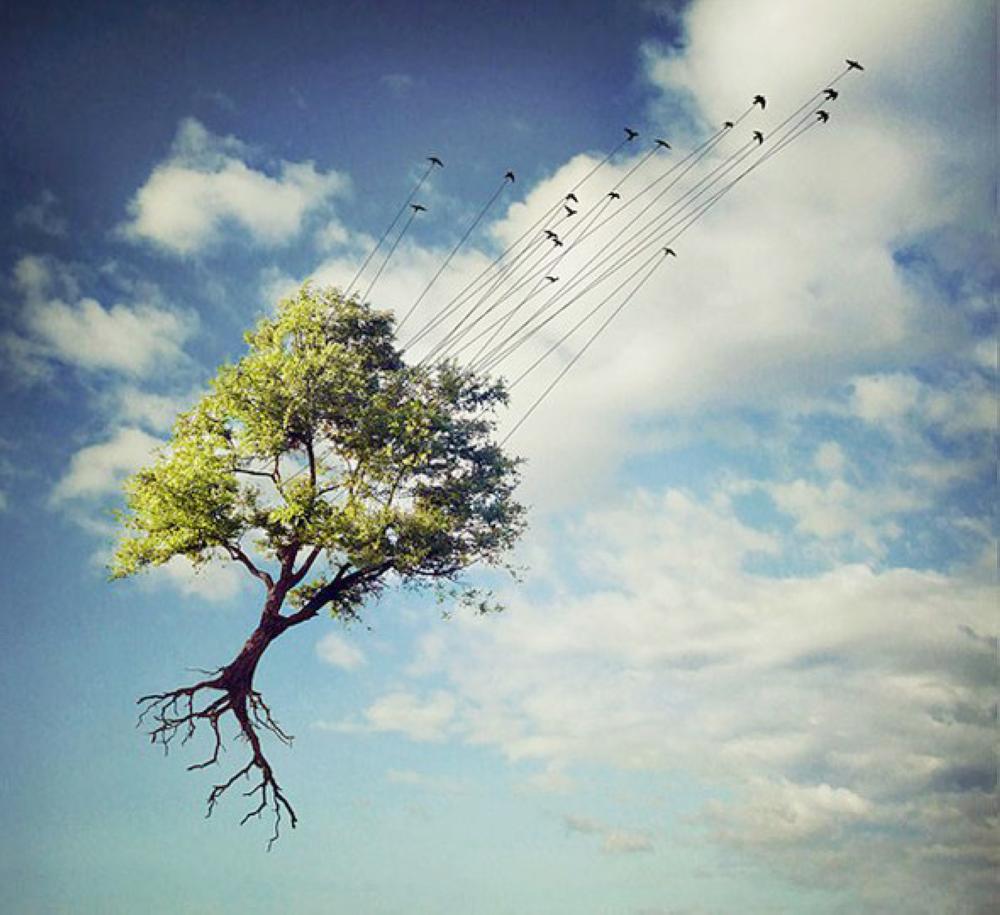 artistic-surreal-photomanipulation-by-sarolta-ban-18