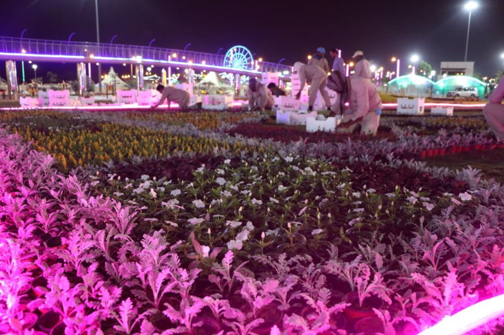 سجادة الزهور التي جهزتها الأمانة.