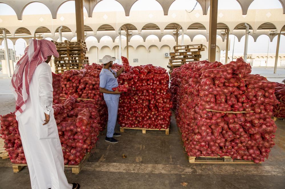 جانب من الخضار والفواكه غير الصالحة للاستهلاك بالأحساء.