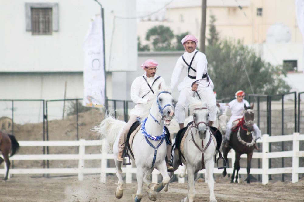 



عروض الفرسان في أصايل الخيل بأبها.