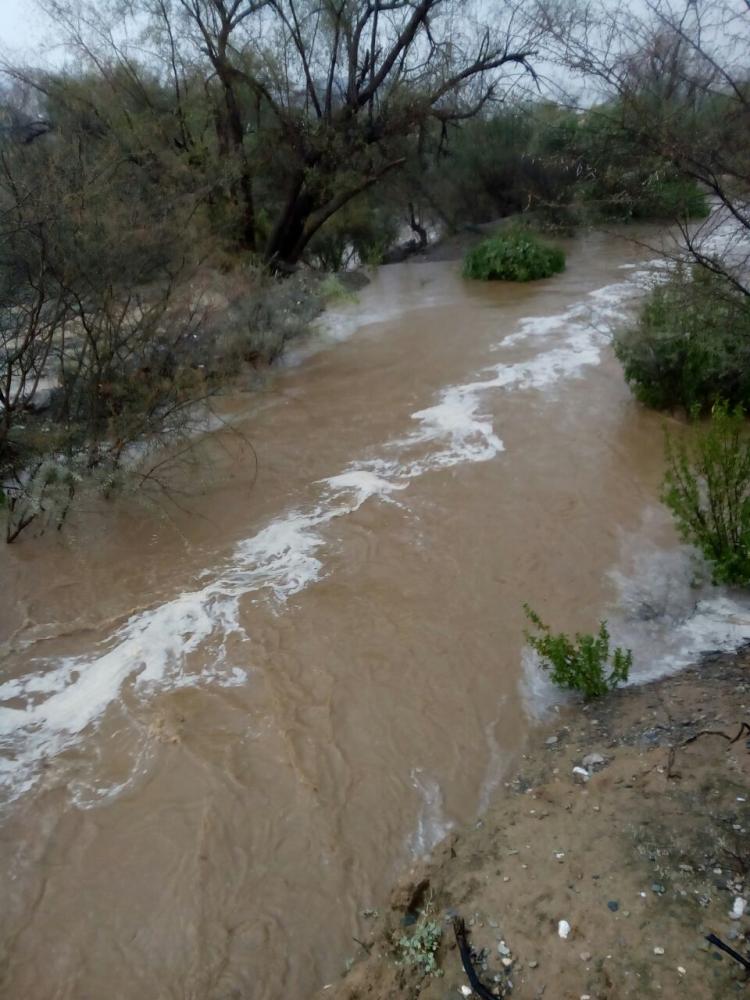 جريان السيول في شعاب محايل عسير