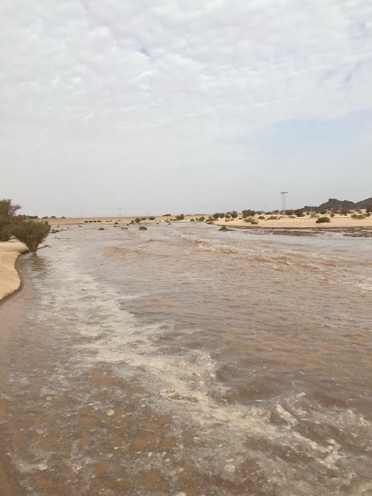  جريان وادي الثفن شرق محافظة بيشة صباح أمس.