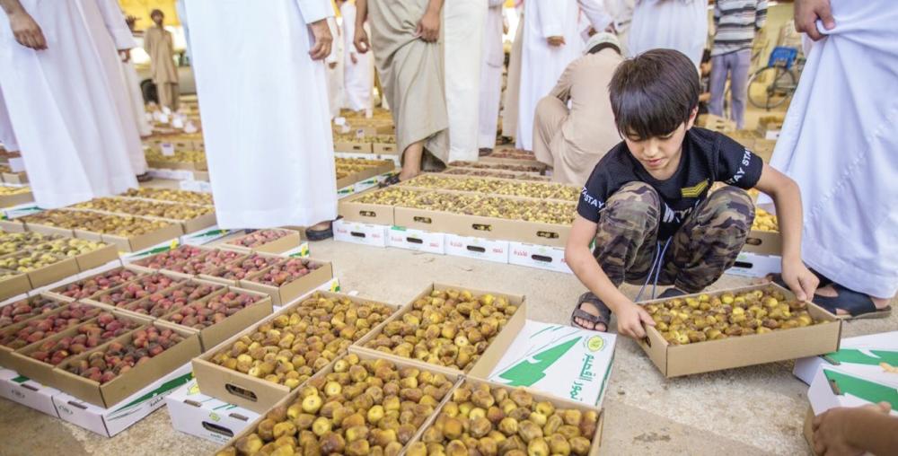 



تمورا معروضة في المهرجان. (عكاظ)