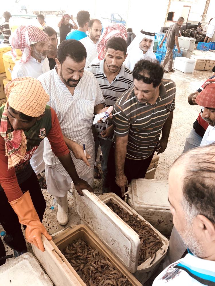 



إقبال كبير على شراء الروبيان في يومه الأول.