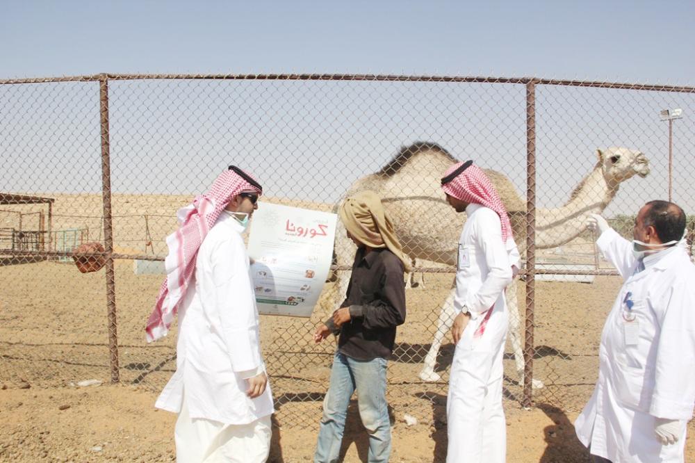 توعية العاملين في الحظائر بمرض كورونا