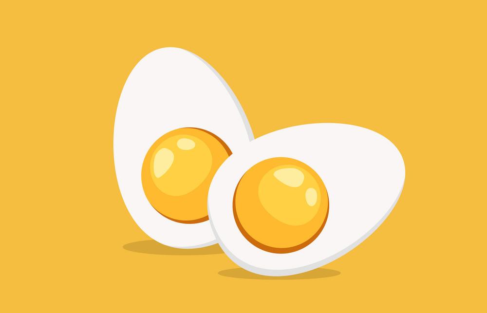 Hard Boiled Sliced Egg with the yellow yolk and the white albumen. Vector illustration in flat style