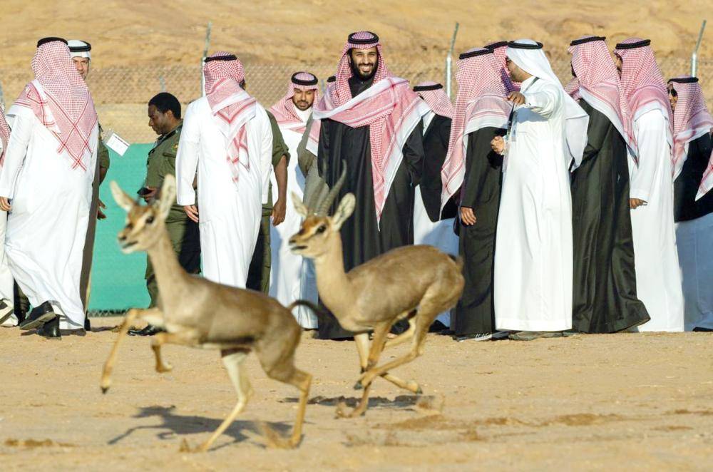 



محمية شرعان الطبيعية جزء من سلسلة المشاريع الإستراتيجية في العلا.