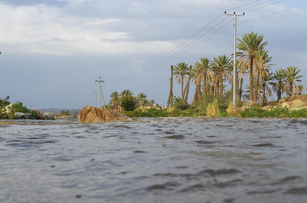 «أرشيفية»