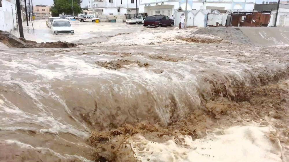 



لا صحة لشائعات «سيول مارس».