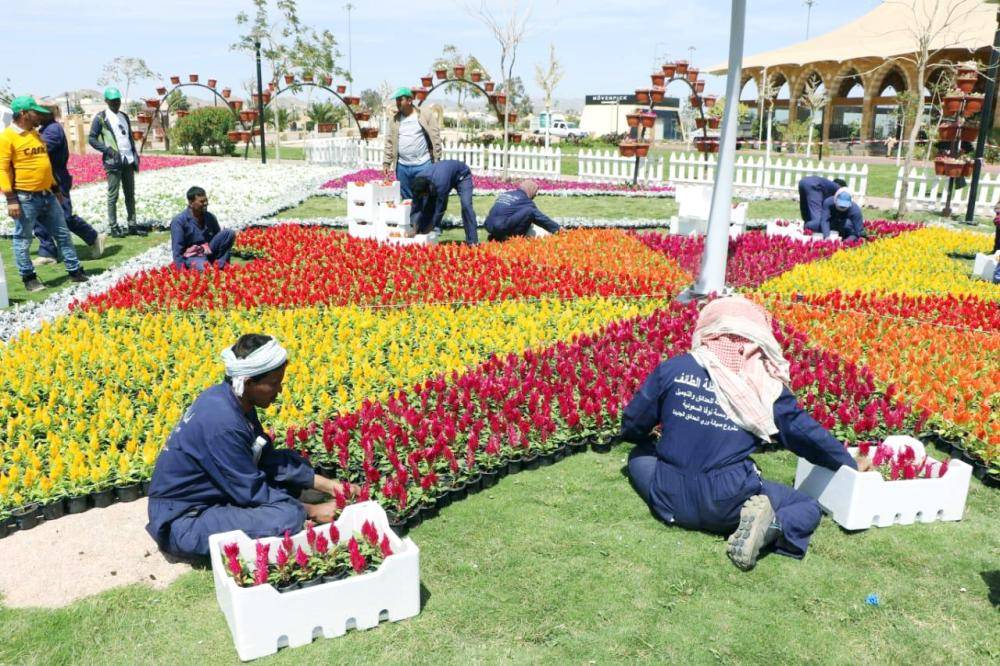 



عمال أثناء تهيئة سجادة زهور ورد الطائف.