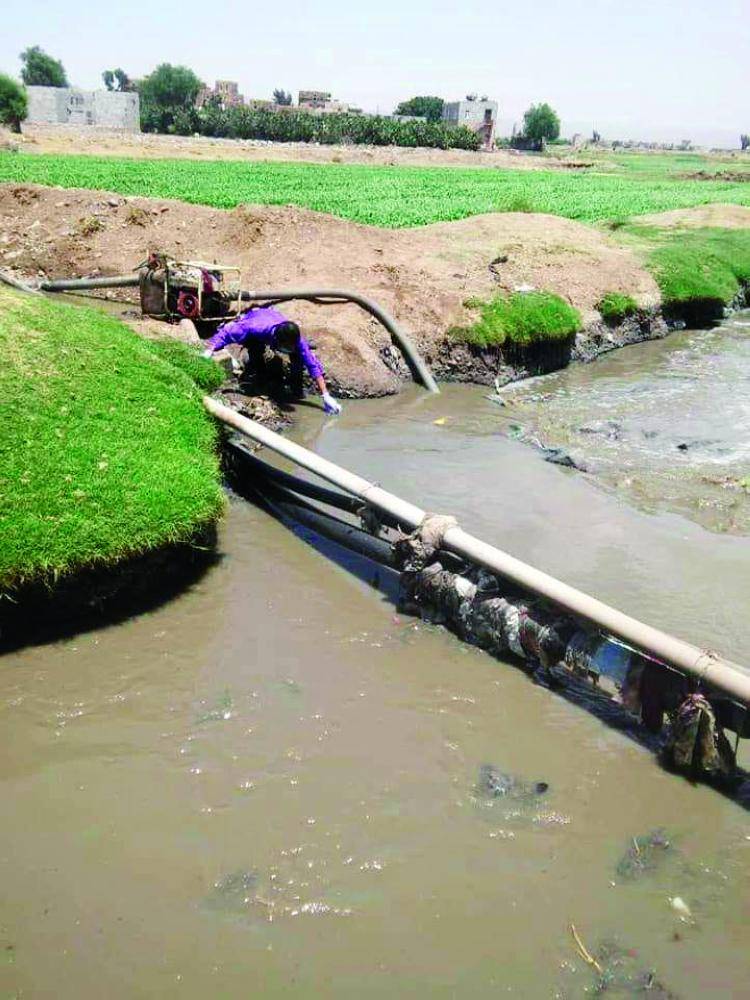 



صورة نشرها ناشطون في صنعاء لعامل يروي مزرعة خضراوات من مخلفات الصرف الصحي. (متداولة)