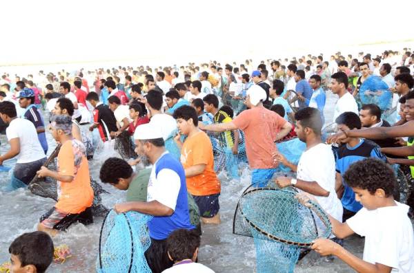 



فعاليات صيد الحريد مناسبة سنوية لأهالي جزيرة فرسان.