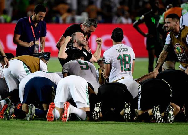 Algeria's coach Djamel Belmadi (C) celebrates with his players following the 2019 Africa Cup of Nations (CAN) Semi-final football match between Algeria and Nigeria at the Cairo International stadium in Cairo on July 14, 2019.  / AFP / JAVIER SORIANO
