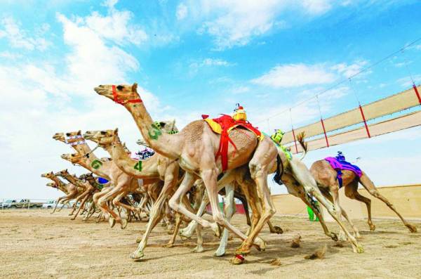 



الأشواط الدولية والإنتاج والسودانية شهدت منافسات قوية.