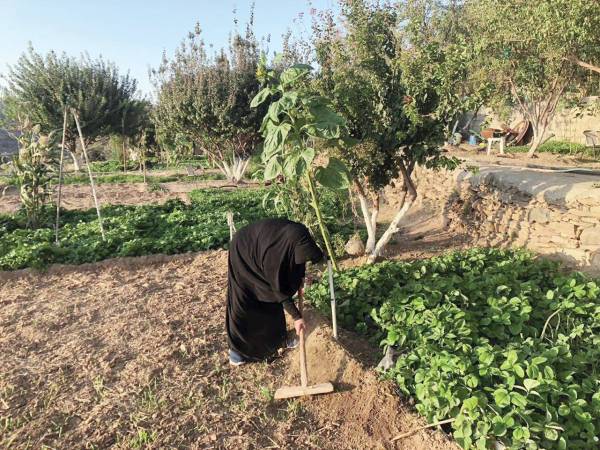 


فوزية الغامدي في مزرعتها.