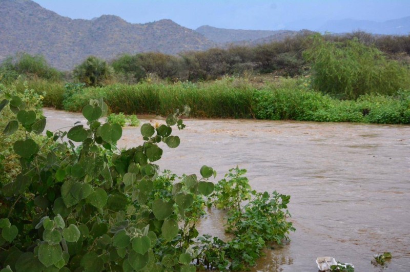 أمطار على المنطقة الجنوبية