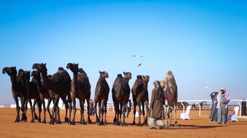 تحتل السعودية المرتبة الثالثة بعد الصومال والسودان