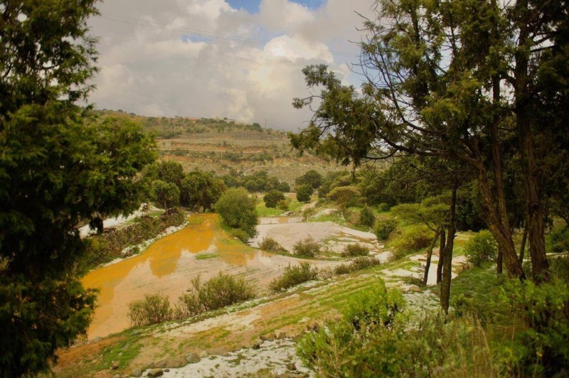 أمطار على الجنوبية