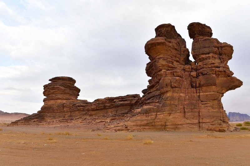  تصوير: فهد العساف (واس)