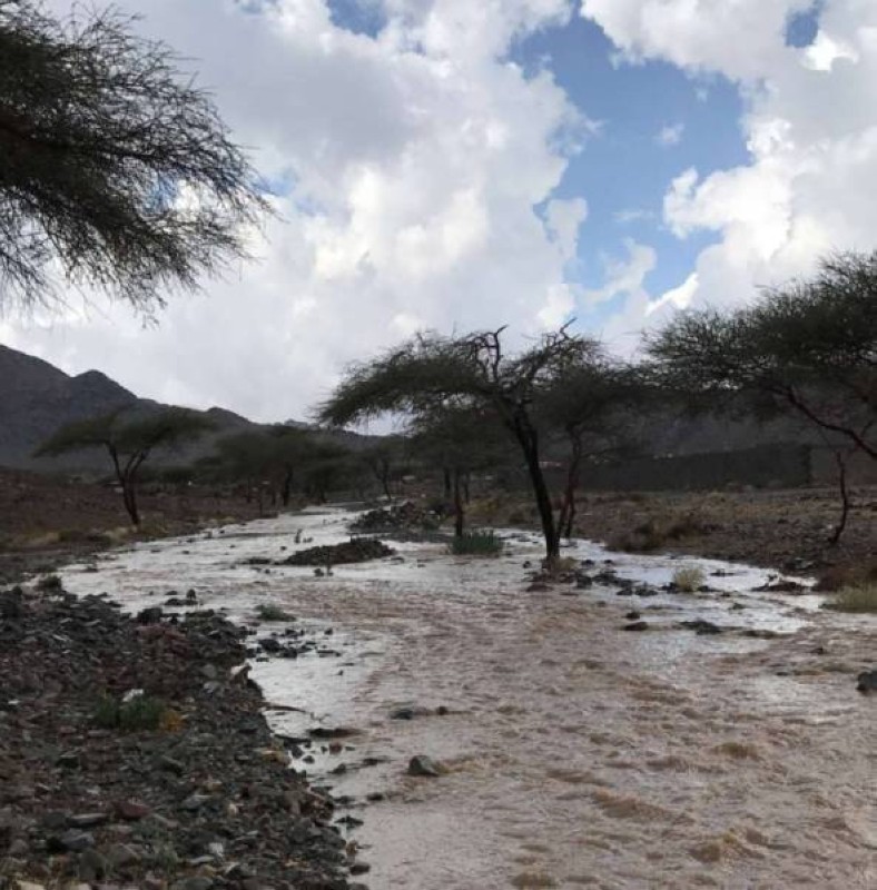 أمطار على عدة مناطق.