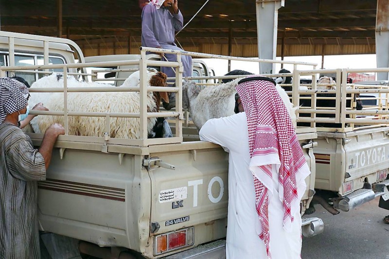 



إقبال على شراء الأضاحي