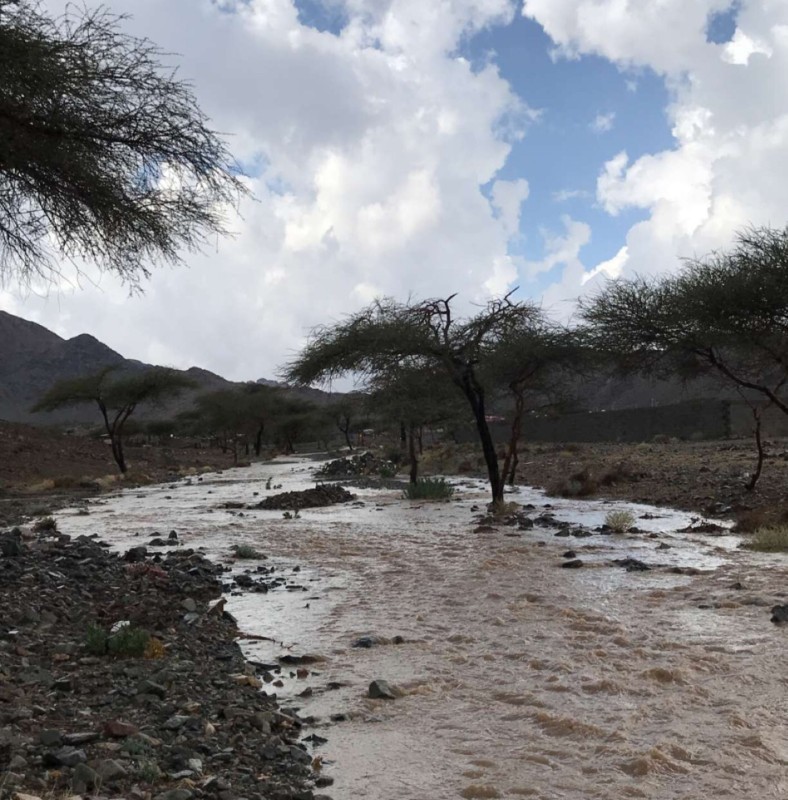 أمطار على عدة مناطق اليوم الخميس.