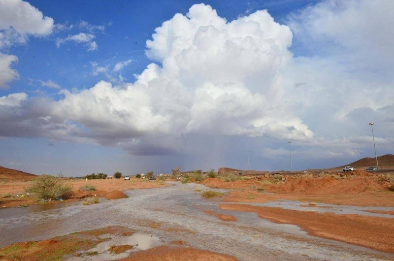 سماء غائمة جزئياً تخللها سحب رعدية ممطرة.
