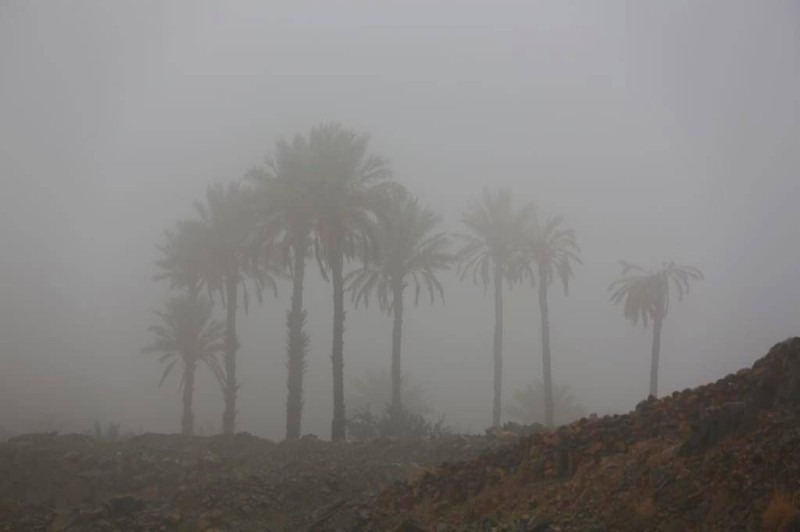 سحب رعدية ممطرة مصحوبة برياح نشطة.
