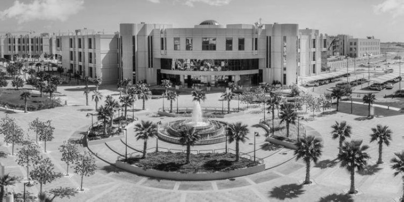 جامعة الإمام عبد الرحمن بن فيصل. (موقع الجامعة)