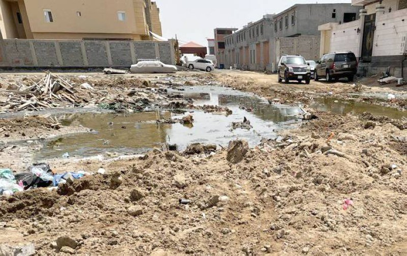 



المياه الجوفية باتت سمة ظاهرة في الحي.(تصوير: المحرر)