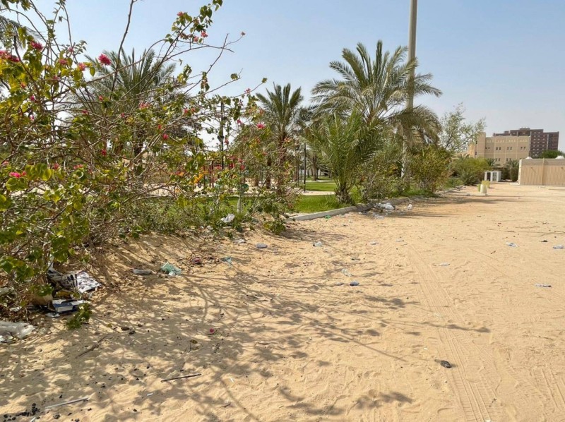 



 ممرات يتساقط فيها رطب النخل دون الاستفادة منه.  (تصوير: المحرر)