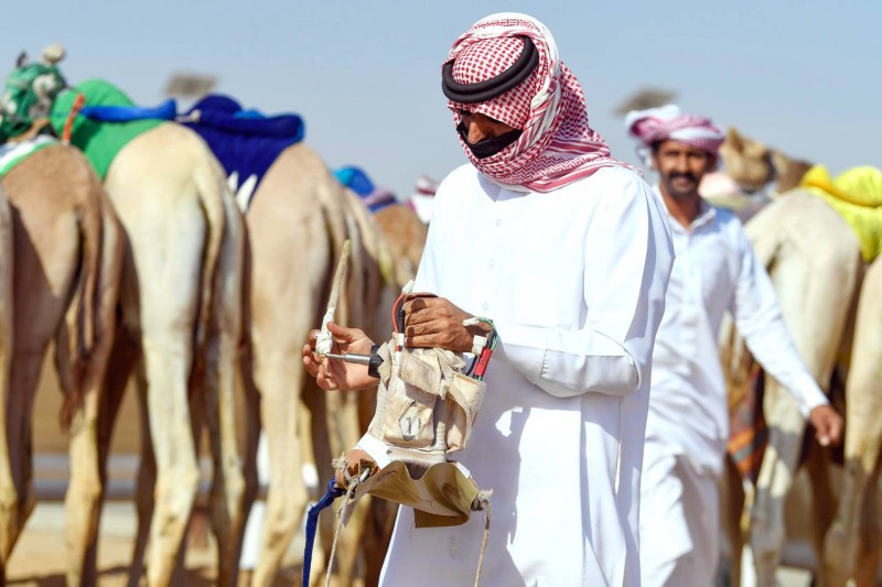 المالك يستطيع توجيه الأوامر للمطية وتحفيزها خلال مجريات السباق عبر النداء الصوتي، كما يمكنه التحكم بالعصا المثبتة على الراكب. (اتحاد الهجن)