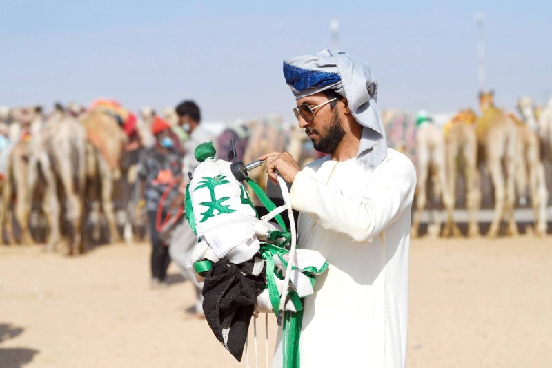 



المالك يستطيع توجيه الأوامر للمطية وتحفيزها خلال مجريات السباق عبر النداء الصوتي، 
كما يمكنه التحكم بالعصا المثبتة على الراكب. (اتحاد الهجن)