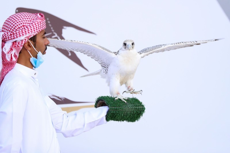 المهرجان خصص جوائز مالية للفائزين تبلغ نحو 25 مليون ريال.