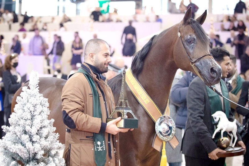 



«أكواتور» حصل على أعلى ألقاب بطولة العالم لجمال الخيل العربية.