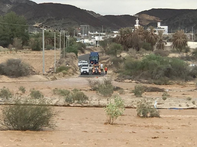 تصوير: عبدالعزيز السيد