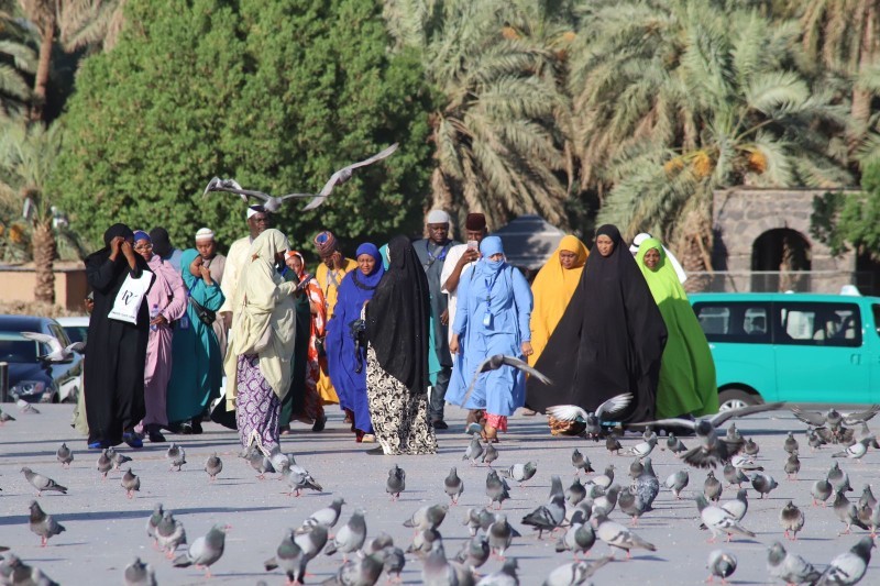 (عدسة: بندر الترجمي Baltarjami@)